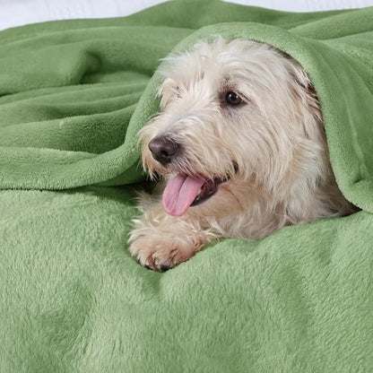 Bedsure GentleSoft Green Fleece Blanket - Soft, Lightweight Plush Queen Size, Emerald, 90x90 Inches