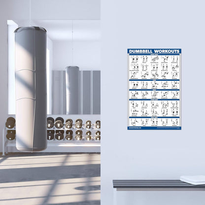 Palace Learning Dumbbell Workout Posters Set - Laminated Barbell Exercise Charts (18" x 24") - 4 Pack