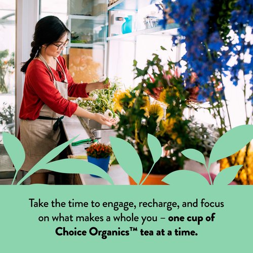 Choice Organics - Organic Peppermint Tea (6 Pack) - Compostable - Caffeine Free - 96 Organic Herbal Tea Bags