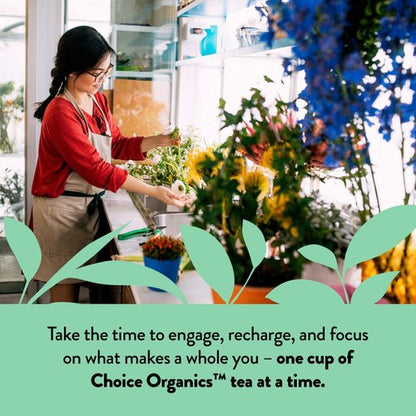 Choice Organics - Organic Peppermint Tea (6 Pack) - Compostable - Caffeine Free - 96 Organic Herbal Tea Bags