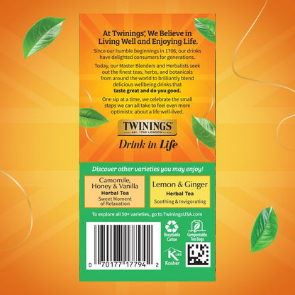 Twinings Decaffeinated Green Tea Individually Wrapped Bags, 20 Count (Pack of 6), Smooth Flavour, Enticing Aroma, Enjoy Hot or Iced, 120 Teabags
