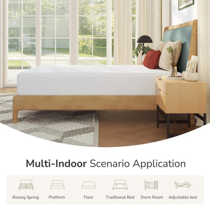 MLILY Queen Mattress in a Box, 8 inch Mattresses for Platform Bed Double Size Daybed, Green Tea Memory Foam Medium Firm