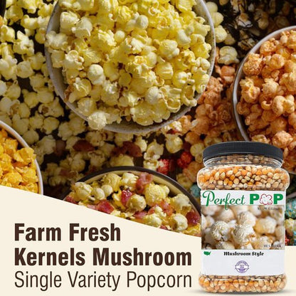 Concession Essentials Gourmet Mushroom Popcorn Kernels - Extra Large 4lbs for Perfect Popping