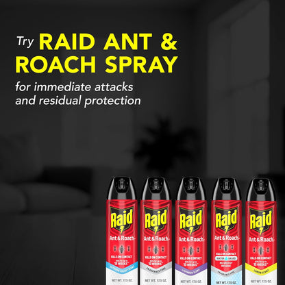 Raid Ant & Roach Killer Spray - Long-Lasting Lavender Scent, 17.5 oz | Pack of 2