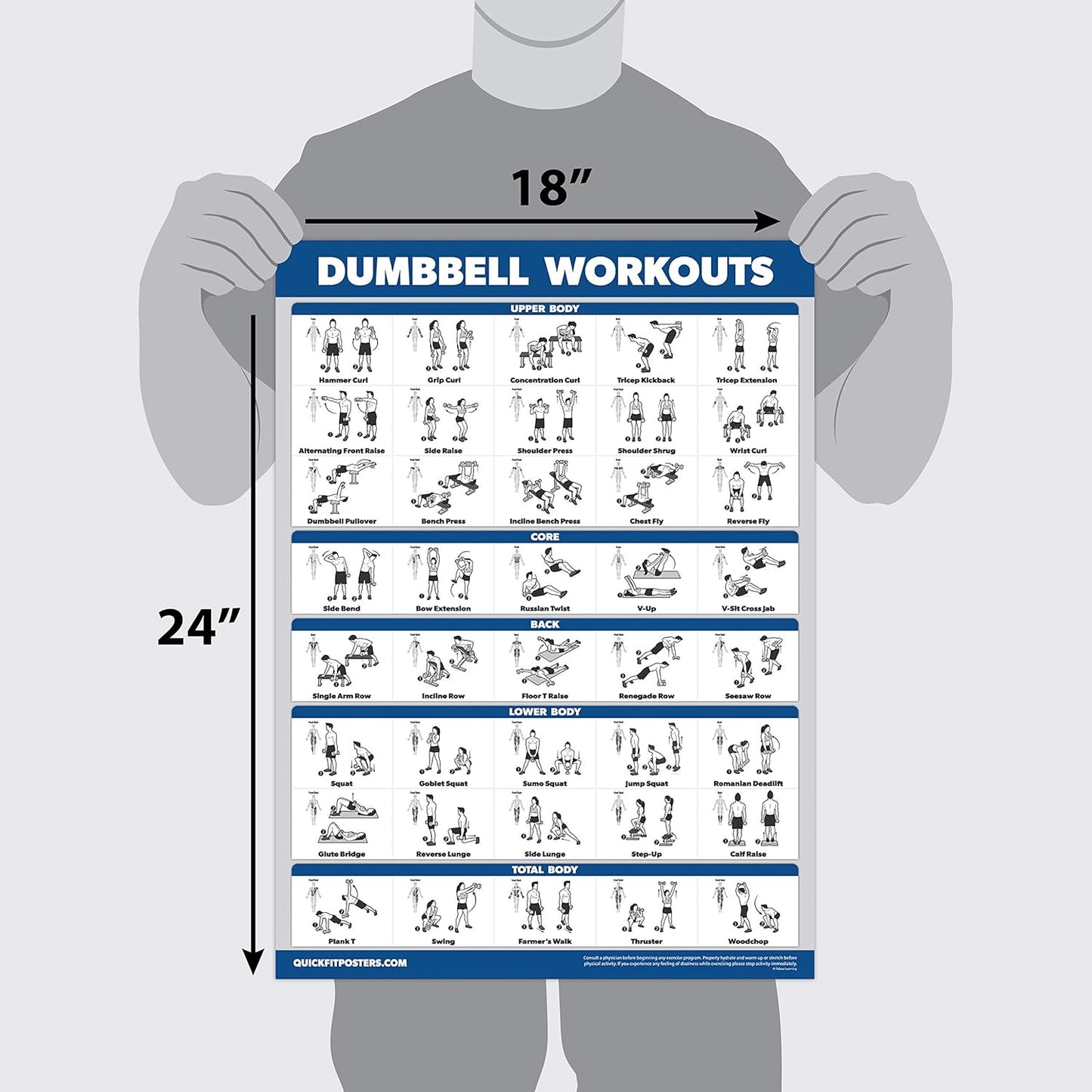 Palace Learning Dumbbell Workout Posters Set - Laminated Barbell Exercise Charts (18" x 24") - 4 Pack
