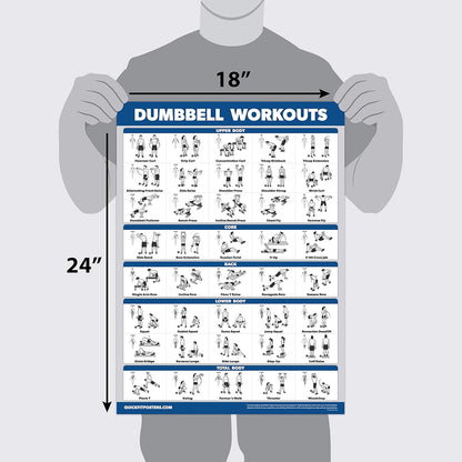 Palace Learning Dumbbell Workout Posters Set - Laminated Barbell Exercise Charts (18" x 24") - 4 Pack