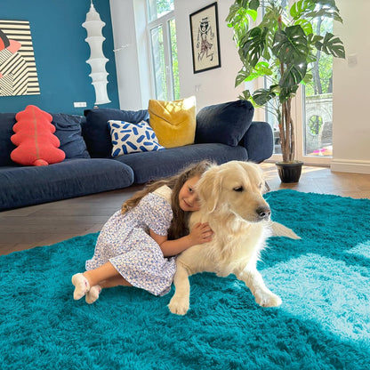 OLANLY Large Area Rug - Soft Fluffy Shaggy Carpet for Living Room & Bedroom | 9x12 Teal Design
