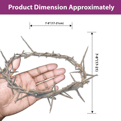 ZULUF Crown of Thorns Ornament - Authentic 7.5" Holy Land Gift Box from Bethlehem | Passion of Christ