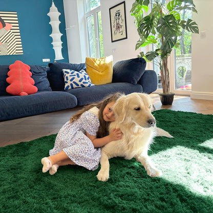 OLANLY Area Rug - Soft Fluffy Shaggy Design | Machine Washable 4x5.9 ft - Dark Green for Living Room & Bedroom