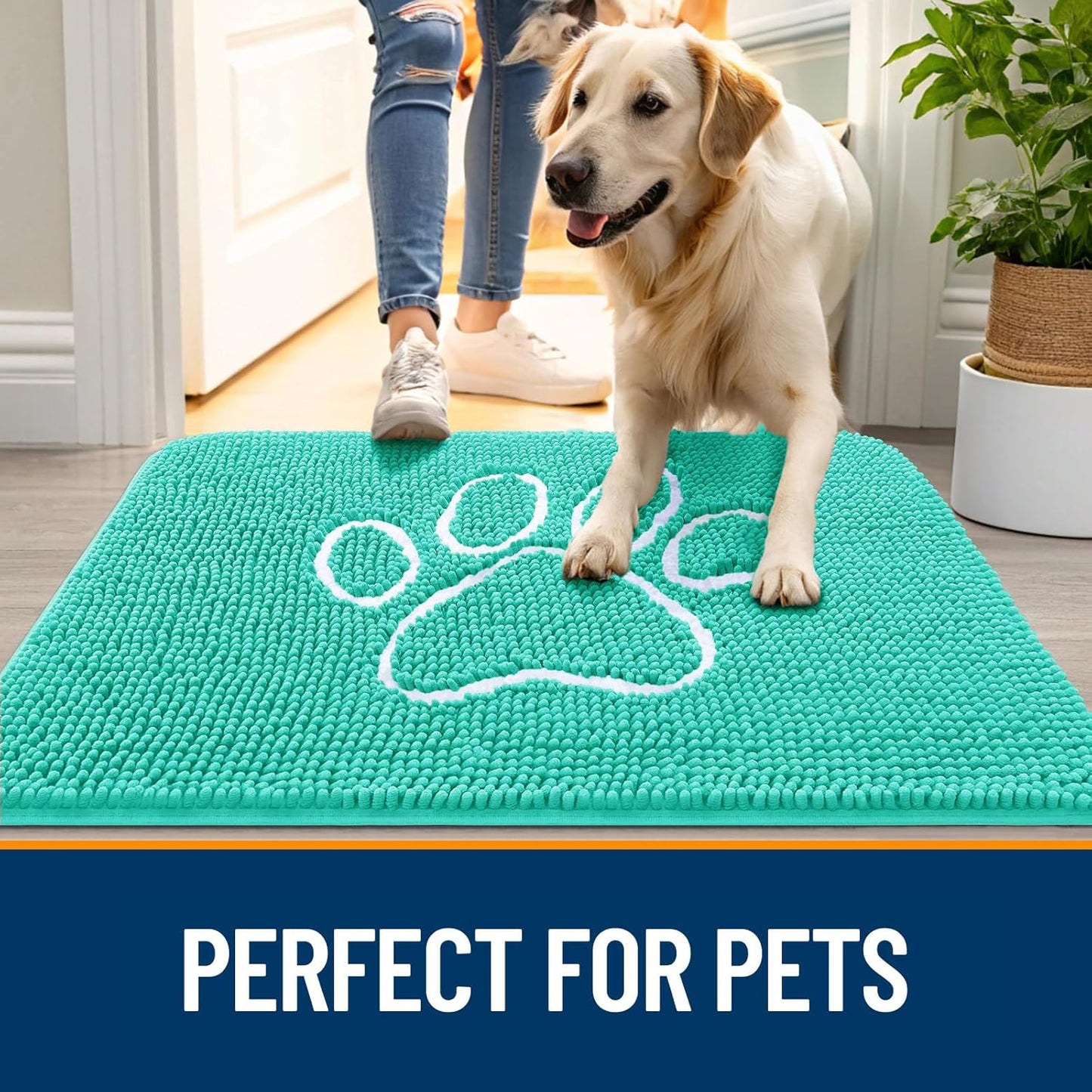 OLANLY Dog Door Mat - Absorbent Non-Slip Chenille Mud Mat for Muddy Paws | 24x16, Teal