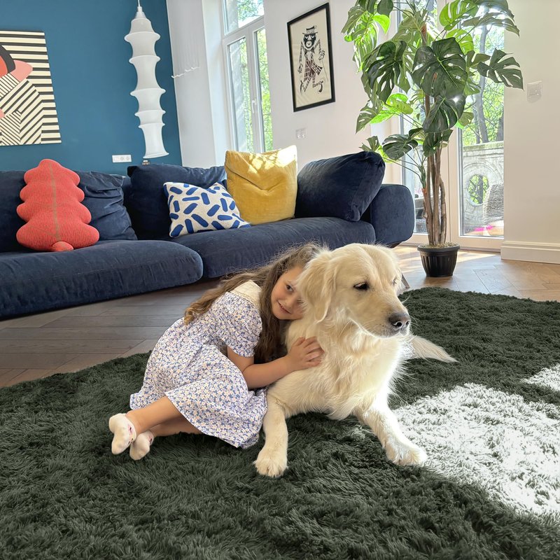 OLANLY 5x8 Machine Washable Large Area Rugs for Living Room, Bedroom, Soft Fluffy Shaggy Bedside Rug, Indoor Floor Carpet for Kids Girls and Boys, Dorms, Nursery, Home Decor Aesthetic, Olive Green