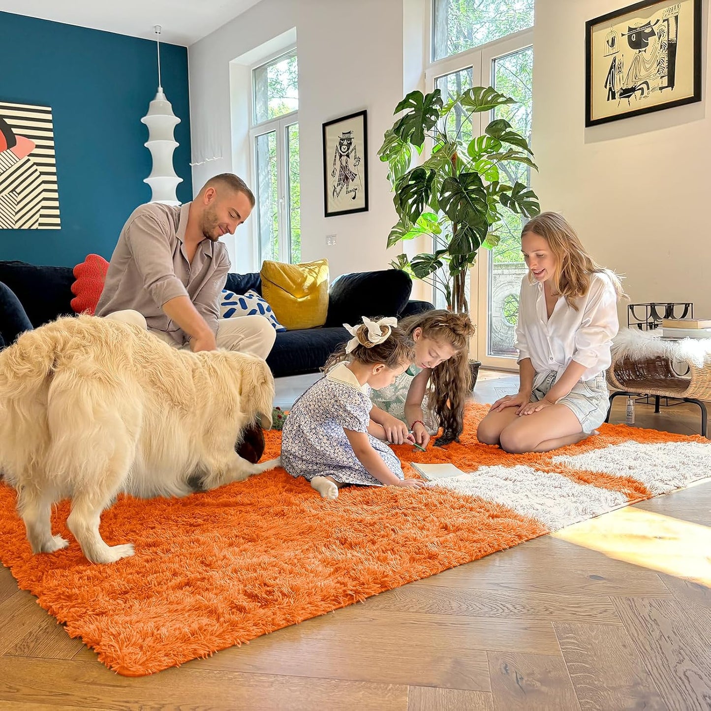 OLANLY Large Area Rug - Soft Fluffy Shaggy Carpet for Living Room & Bedroom | 8x10, Orange