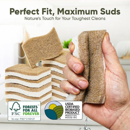 Plant-Based Kitchen Sponges (12 Pack) | USDA Biobased Certified | FSC & PETA Approved | Natural Cellulose & Coconut Scrubber Sponge | S-Shaped Design | Eco-Friendly, Non-Scratch, Non-Toxic & Vegan