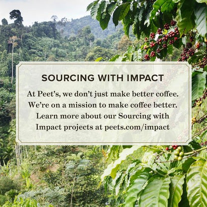 Peet's Coffee, Dark Roast Keurig K-Cup Pods, 100% Arabica Coffee - Holiday Blend 60 Count (6 Boxes of 10 K-Cup Pods)