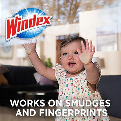 Windex Glass Cleaning Wipes - Ammonia-Free, Pre-Moistened for Streak-Free Shine | 25 Count, Crystal Rain Scent