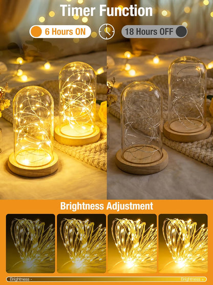 Skiennix Fairy Lights - Battery Operated 50 LED Twinkle String Lights | 16.4 FT with Timer & 8 Modes - Warm White