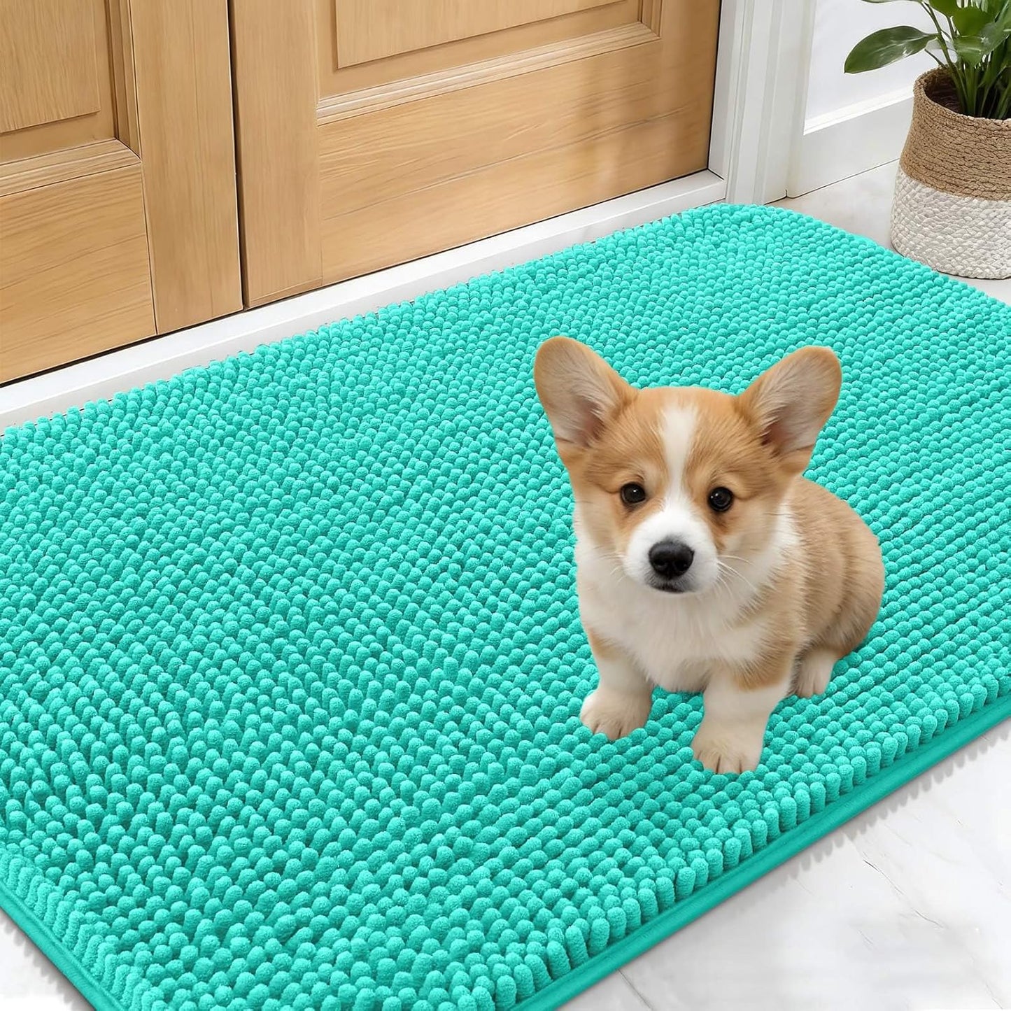 OLANLY Dog Door Mat - Absorbent Non-Slip Chenille Mat for Muddy Paws | 30x17 Inches, Teal