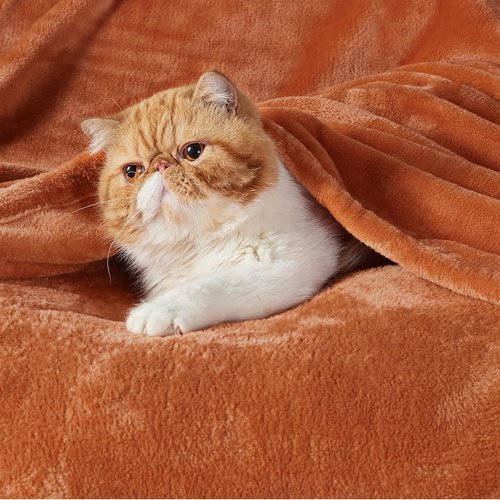 Bedsure GentleSoft Fleece Blanket - King Size Dark Orange, 280GSM Soft & Cozy for Bed, Sofa, Travel