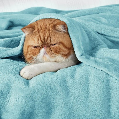 Bedsure GentleSoft Fleece Throw Blanket - Cozy Plush River Blue Blanket for Couch, 50x60 Inches