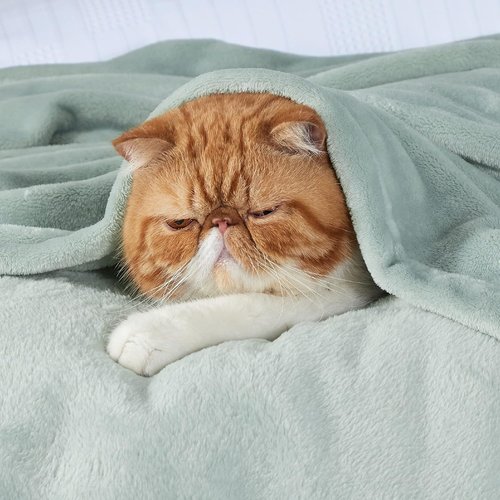 Bedsure GentleSoft Fleece Blanket - Sage Green, Queen Size, 280GSM Soft & Cozy for Bed, Sofa, Travel