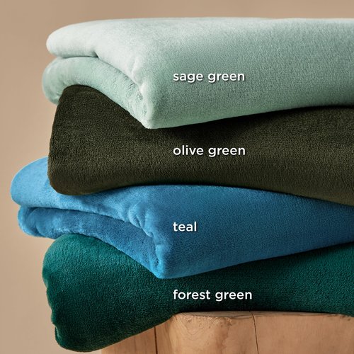 Bedsure GentleSoft Sage Green Fleece Throw Blanket - 300GSM Soft Lightweight Plush Cozy Blankets for Bed, Sofa, Couch, Travel, Camping