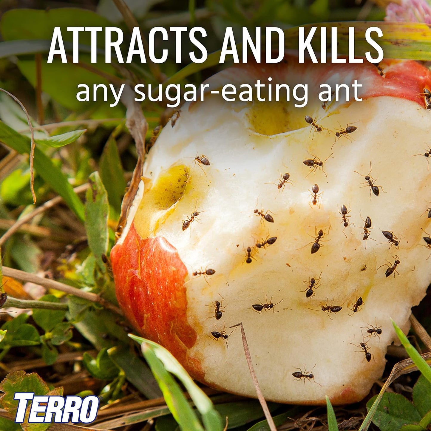 TERRO Outdoor Ant Killer Bait Stakes - Effective Liquid Formula for Fast Pest Control