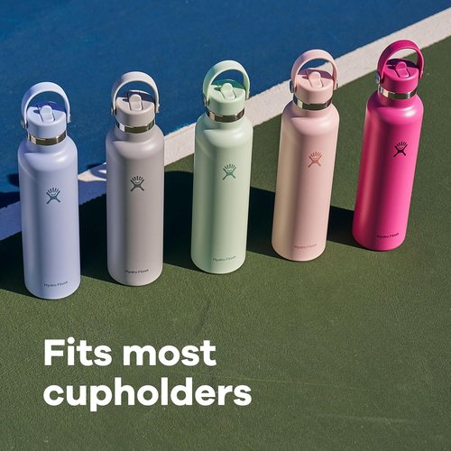 Hydro Flask Water Bottle - Insulated Stainless Steel - Leakproof Straw Lid - 24 Oz Trillium Pink