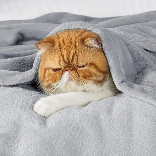 Bedsure GentleSoft Fleece Blanket - Lightweight Plush Cozy Twin Size Light Grey, 60x80 Inches