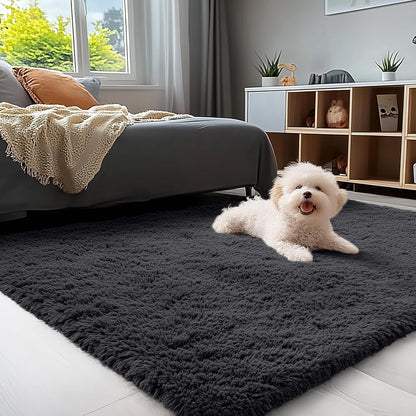 OLANLY Area Rugs - Soft Fluffy Shaggy Indoor Carpet for Living Room & Bedroom | 4x8 Black Design