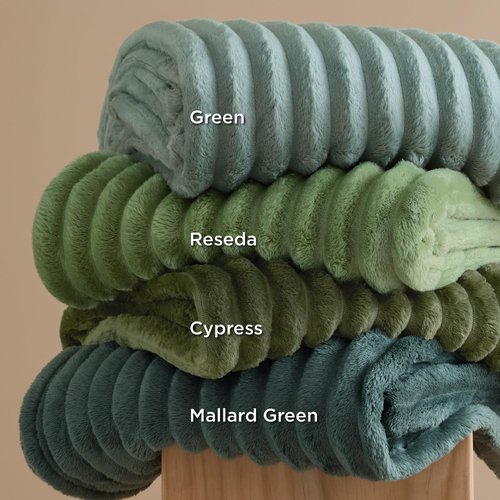 Bedsure GentleSoft Reseda Twin XL Blanket for Bed - Cozy Soft Blankets for Women, Cute Small Fleece Throws for Girls, Birthday Gifts for Women Decor Gifts for Mom, 66x90 Inches