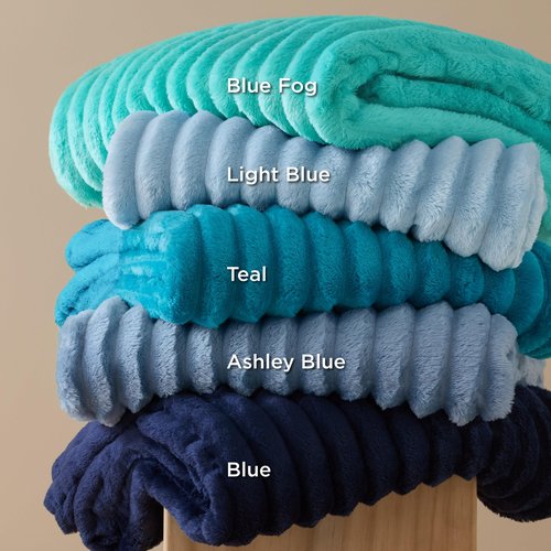 Bedsure GentleSoft Fall Throw Blanket for Couch - Cozy Soft Blankets for Women, Cute Small Throws for Girls, Blue, 50x60 Inches