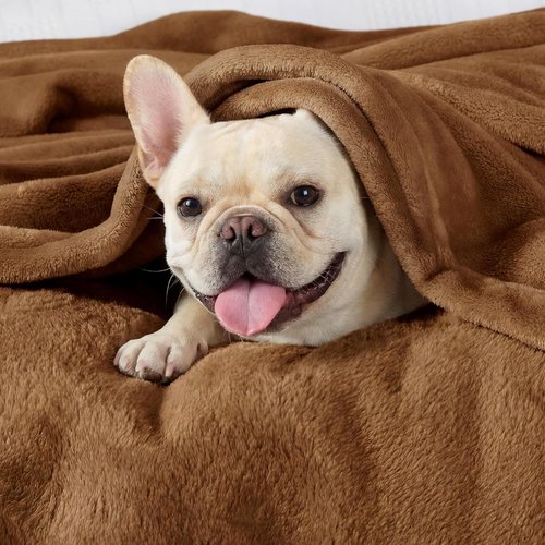 Bedsure GentleSoft Fleece Blanket - Cozy Orange Queen Size Microfiber Throw, 90x90 Inches