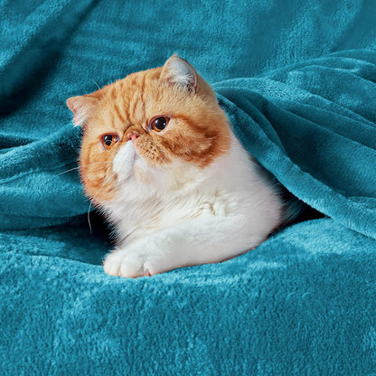 Bedsure GentleSoft Fleece Blanket - Queen Size Teal Plush Microfiber, Soft & Cozy 90x90 Inches