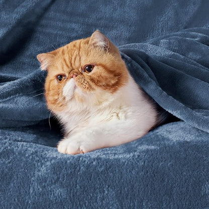 Bedsure GentleSoft Fleece Blanket - Cozy Lightweight Plush in Mineral Blue | California King Size 102x96 Inches