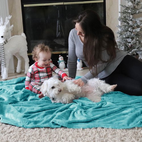 Bedsure GentleSoft Fleece Throw Blanket for Couch River Blue - Lightweight Plush Fuzzy Cozy Soft Blankets and Throws for Sofa, 50x70 inches