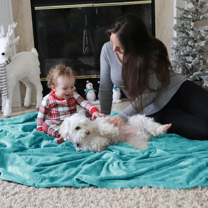 Bedsure GentleSoft Fleece Throw Blanket for Couch River Blue - Lightweight Plush Fuzzy Cozy Soft Blankets and Throws for Sofa, 50x70 inches