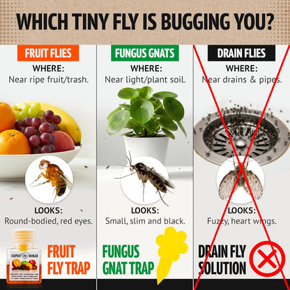 Super Ninja Fruit Fly Traps for Indoors - 4 Pack, Highly Effective Fruit Fly Catcher for Indoor Use for Home & Kitchen, Up to 3 Weeks of Performance per Bottle, Kid & Pet Friendly