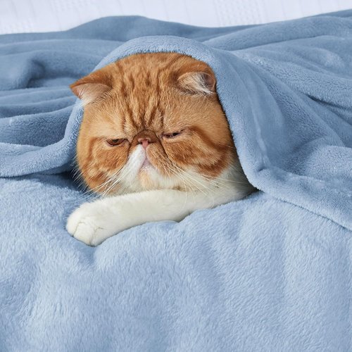 Bedsure Fleece Throw Blanket - Lightweight Plush Cozy Sofa Blanket in Light Blue, 50x70 Inches
