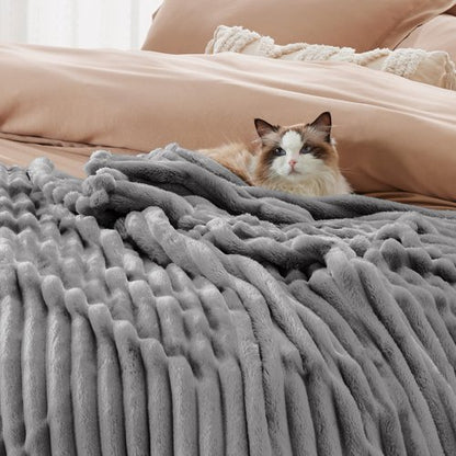 Bedsure GentleSoft Frost Gray Fleece Blanket for Couch - Cozy Soft Blankets for Women, Cute Small Throws for Girls, 108x90 Inches