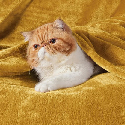 Bedsure GentleSoft Gold Fleece Throw Blanket - 300GSM Blankets for Couch, Sofa, Bed, Soft Lightweight Plush Cozy Throws for Toddlers, 50x60 inches
