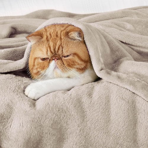 Bedsure GentleSoft Fleece Blanket - Lightweight Plush Cozy Twin Size Oxford Tan, 60x80 Inches