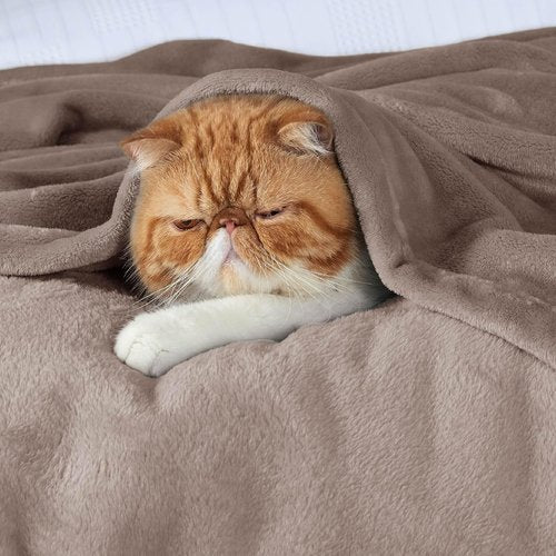 Bedsure GentleSoft Fleece Blanket - Lightweight Plush Cozy Twin Size in Mocha Brown, 60x80 Inches