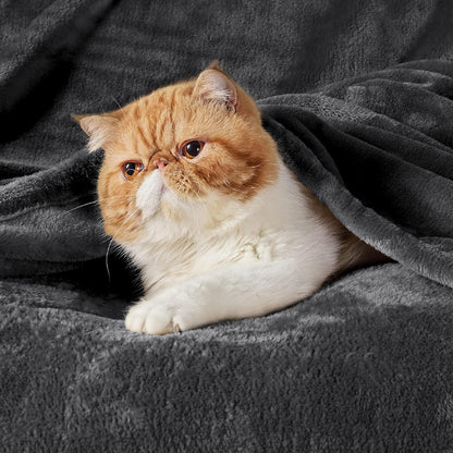 Bedsure GentleSoft Fleece Bed Blanket - Soft, Lightweight, Plush Cozy Luxury in Charcoal | 84x90 Inches