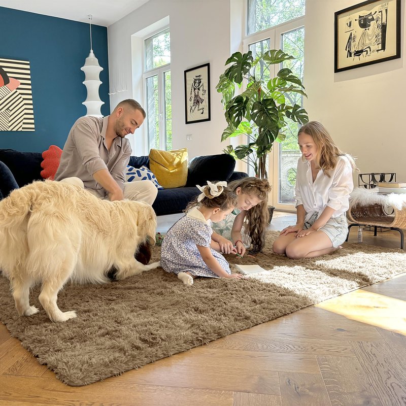 OLANLY Area Rugs for Living Room Bedroom, Machine Washable 4x5.9 ft Soft Fluffy Shaggy Bedside Rug, Indoor Floor Carpet for Kids Girls and Boys, Dorms, Nursery Rooms, Home Decor Aesthetic, Taupe