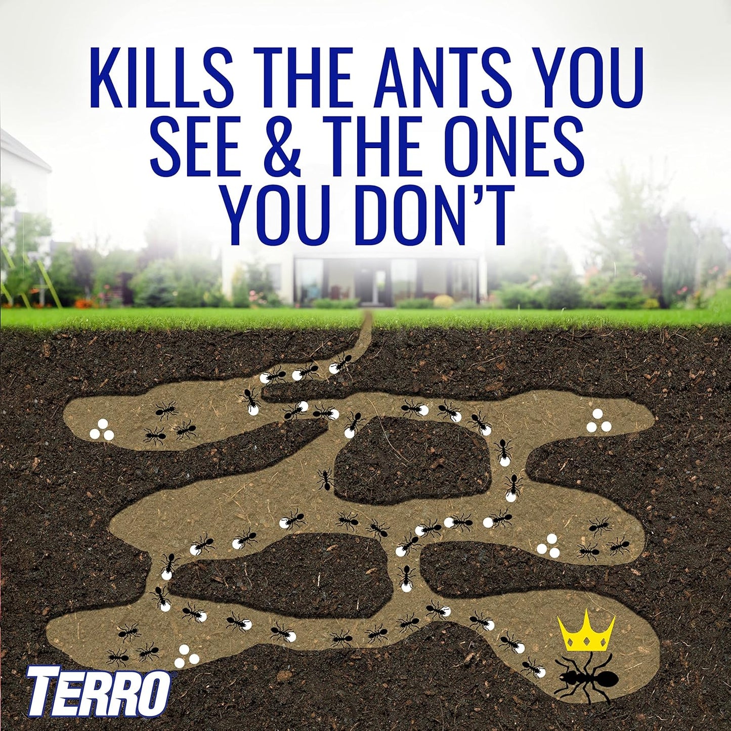 Terro T1812 Outdoor Ant Baits - Effective Liquid Formula | 6 Pack for Long-Lasting Control